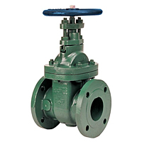 Gate Valve - Class 150, Ductile Iron, Stainless Steel Trim, Flanged, F-639-33