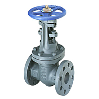 Gate Valve - Class 250, Cast Iron, Outside Screw and Yoke, Flanged, F-667-O