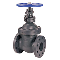 Gate Valve - Class 250, Cast Iron, Non-Rising Stem, Flanged, F-669