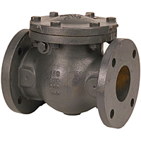 Check Valve - Cast Iron, Swing, Iron Trim, F-918-N