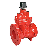 Gate Valve - Ductile Iron, Irrigation, Flanged, FPCR-619-RW