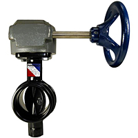 GD-4775 Butterfly Valve - Ductile Iron, Grooved, 300 PSI, Gear