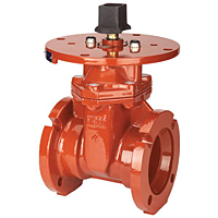 Gate Valve - Ductile Iron, Fire Protection, Mechanical Joint, M-609-RWS