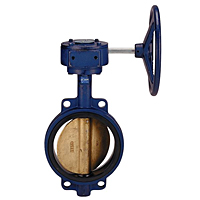 Butterfly Valve - Cast Iron, International, Wafer, Bronze Disc, N200145