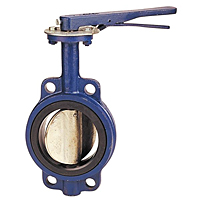 Butterfly Valve - Cast Iron, International, Wafer Type, Buna-N Seat, N200146 Butterfly Valve - Cast Iron, International, Wafer Type, Buna-N Seat, N200146