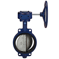 Butterfly Valve - Cast Iron, International, Wafer, Bronze Disc, N200145