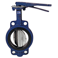 Butterfly Valve - Cast Iron, International, Wafer, Bronze Disc, N200145