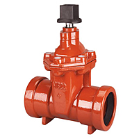 Gate Valve - Cast Iron, Irrigation, PVC End Connections, P-619-RW