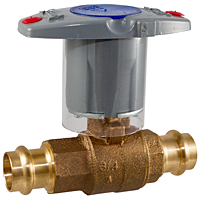 Ball Valve - Bronze, 250 PSI, Stainless Steel Trim, PC585-70-66