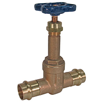Gate Valve - Bronze, 200 PSI, Rising Stem, PF111