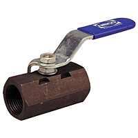 One-Piece Carbon Steel Ball Valve - Reduced Port, Stainless Steel Trim, T-570-CS-R-66