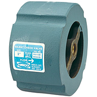 Check Valve -Class 250, Iron Body, Stainless Steel Trim, W-960-SS