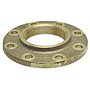 Class 150 Threaded Companion Flange F - Cast, 775