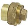 DWV Fitting Cleanout Ftg x Cleanout with Plug - Cast, 816