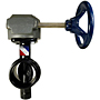 GD-4775 Butterfly Valve - Ductile Iron, Grooved, 300 PSI, Gear