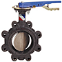 Butterfly Valve - Ductile Iron, 250 PSI, FKM Seat, LD-3222 Butterfly Valve - Ductile Iron, 250 PSI, FKM Seat, LD-3222