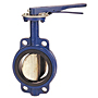 Butterfly Valve - Cast Iron, International, Wafer Type, Buna-N Seat, N200146 Butterfly Valve - Cast Iron, International, Wafer Type, Buna-N Seat, N200146