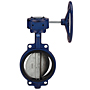 Butterfly Valve - Cast Iron, International, Wafer, Bronze Disc, N200145