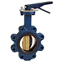 Butterfly Valve - Cast Iron, International, Electroplated Ductile Iron Disc, N200236 Butterfly Valve - Cast Iron, International, Electroplated Ductile Iron Disc, N200236