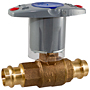 Ball Valve - Bronze, 250 PSI, Stainless Steel Trim, PC585-70-66