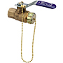 Two-Piece Bronze Ball Valve - Stainless Steel Trim, Hose Connection, T-585-70-66-HC Two-Piece Bronze Ball Valve - Stainless Steel Trim, Hose Connection, T-585-70-66-HC