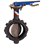 Butterfly Valve - Ductile Iron, Wafer Type, Stainless Steel Disc, WD-3222 Butterfly Valve - Ductile Iron, Wafer Type, Stainless Steel Disc, WD-3222